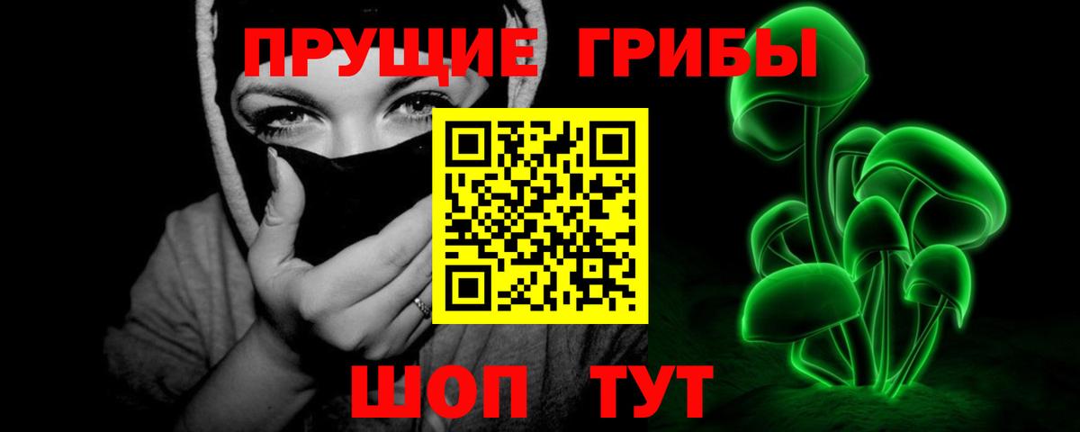Благовещенск  Псилоцибиновые грибы GOLDEN TEACHER  Вход с VPN 